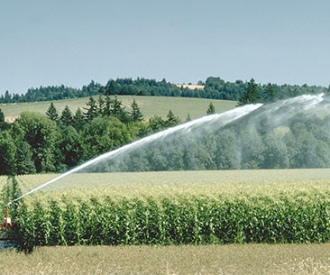 水幕电影设备价格，水幕电影造价多少钱？