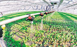 现代农业产业发展趋势及农业传感器盈利模式分析