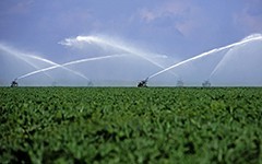 水肥一体化灌溉系统将淘汰传统的常规灌溉