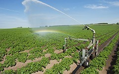 滴灌的优点在哪里