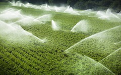 滴灌的发展前景如何