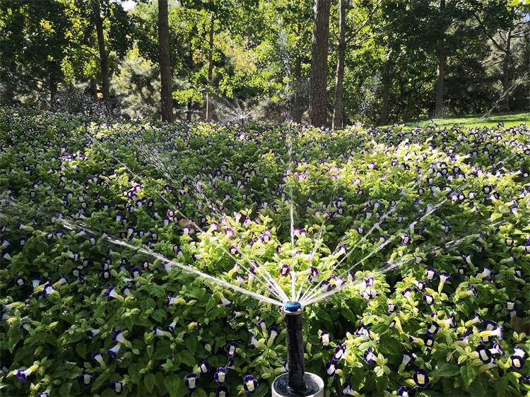 金中都公园(图1)