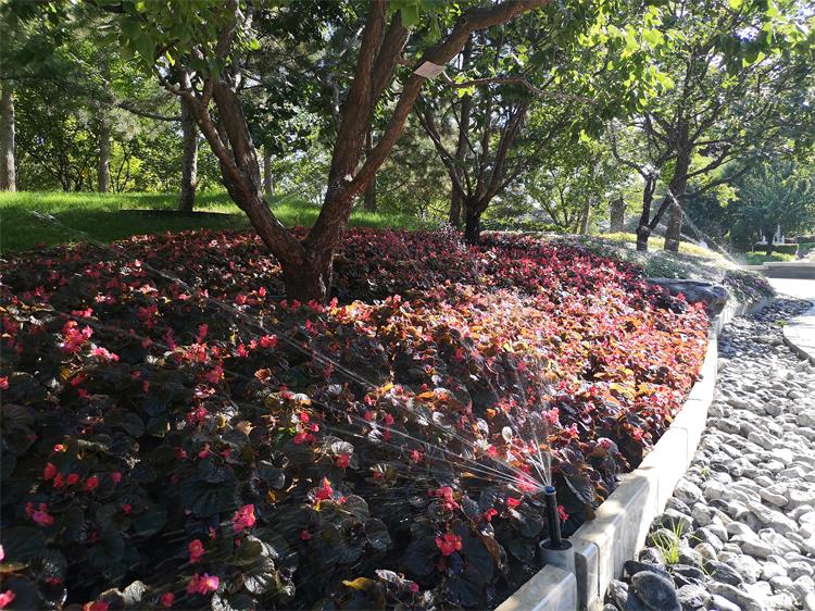 金中都公园(图3)