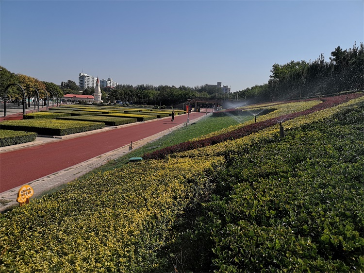 石景山游乐园(图7)