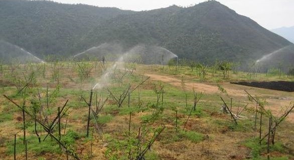 水肥一体化灌溉系统将淘汰传统的常规灌溉 水肥一体化灌溉系统将淘汰传统的常规灌溉