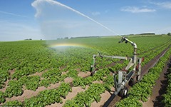 滴灌的优点在哪里